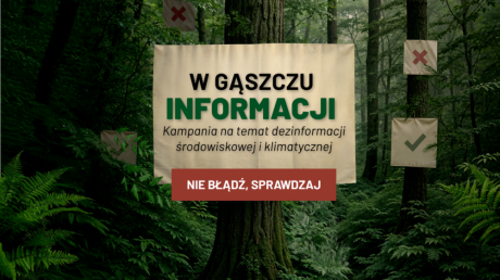 PBS dla Lasów Państwowych: 21% Polaków sądzi, że drewno można pozyskać nie wycinając drzew.