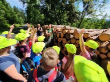 Edukacja przyrodniczo-leśna