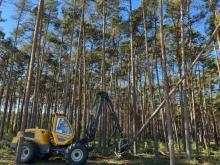 Projekt pilotażowy „DSZ dla usług leśnych”